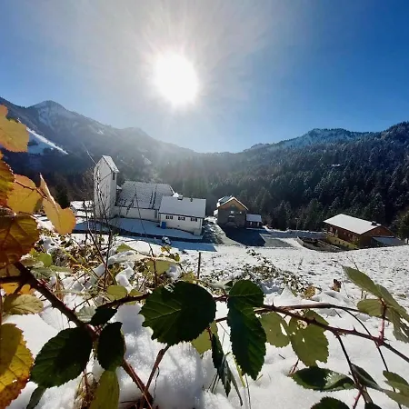 Ferienwohnung Bergblick Ebnit Apartment